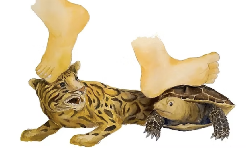 龜轉豹小徑